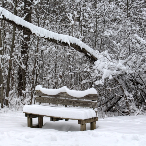 snow covered bench on a walking path gives a beautiful scene