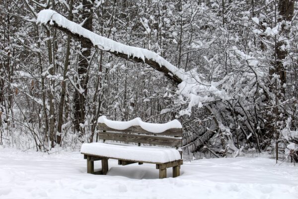 snow covered bench on a walking path gives a beautiful scene