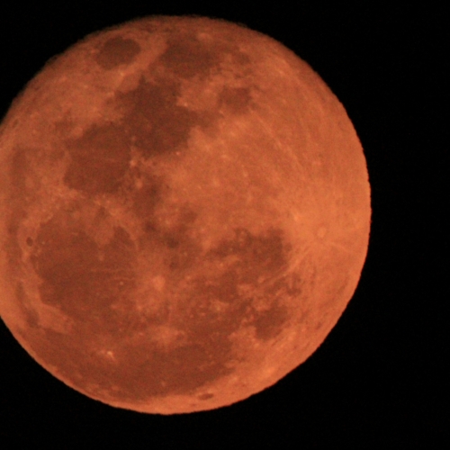 bright orange blood moon