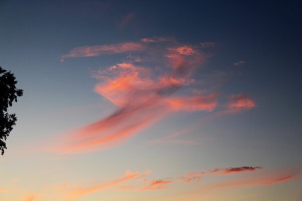 pink cloud floating in sky shaped like an angel with a halo
