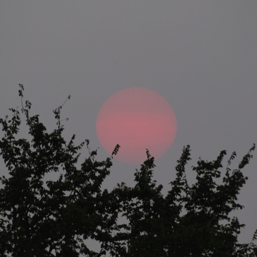 atmosphere and clouds give the setting sun a pink and blue haze