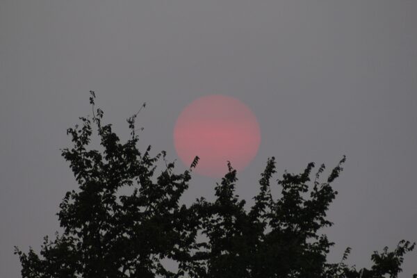 atmosphere and clouds give the setting sun a pink and blue haze