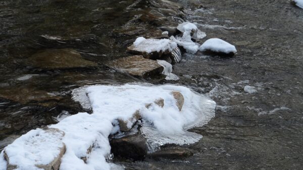 ice forms over rocks in a small river