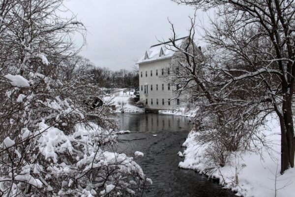 PURCHASE -- linden mill pond