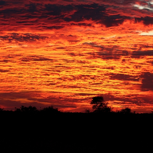 sky covered with deep red clouds at sunset