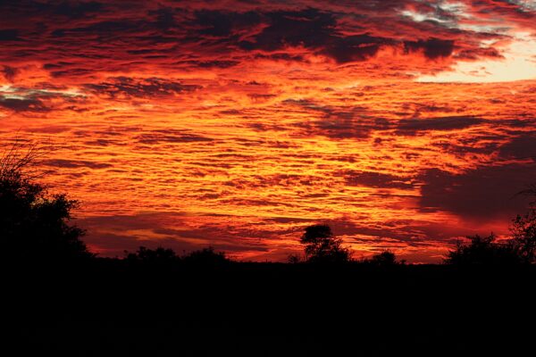 sky covered with deep red clouds at sunset