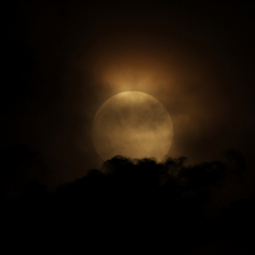yellow glowing moon sits atop clouds in the night sky