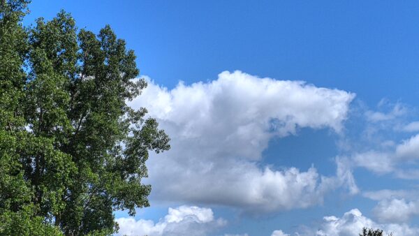 cloud shaped like an animal with it's mouth wide open