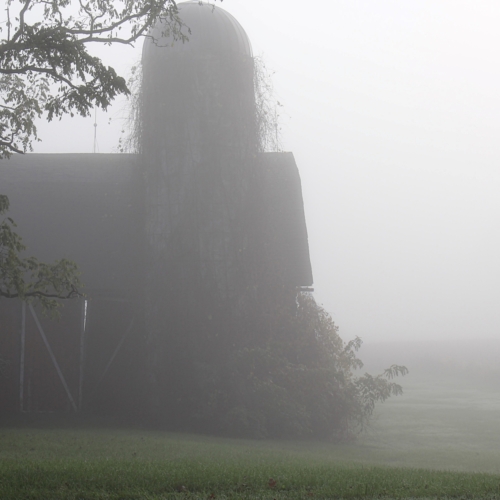barn with silo sits in fog