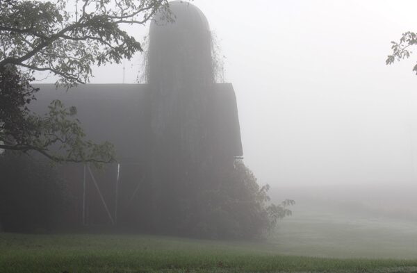 barn with silo sits in fog