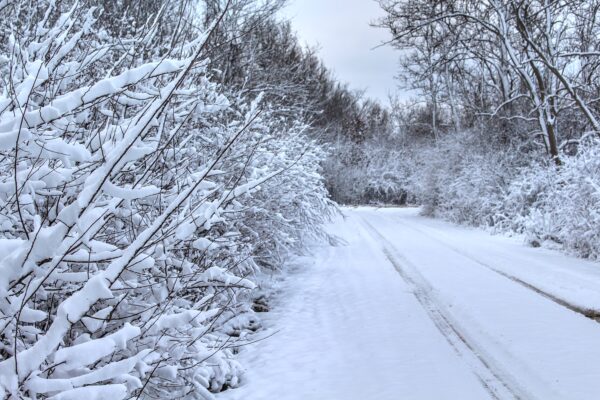 snowy country road