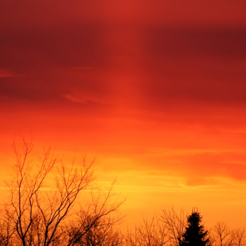 red orange and yellow make us this intense sunset
