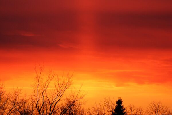 red orange and yellow make us this intense sunset