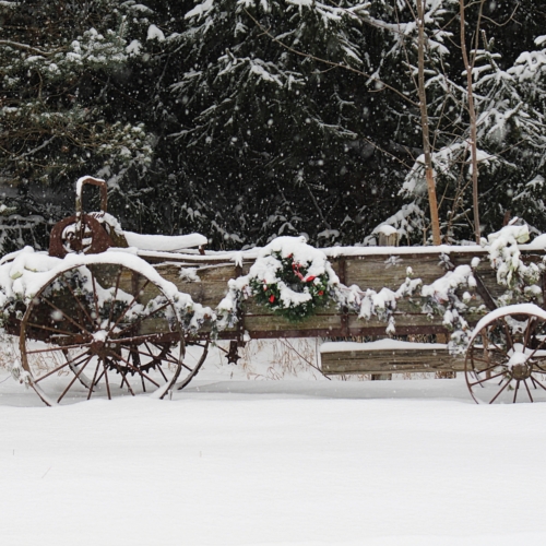 wooden sleigh covered garland and snow sits outside