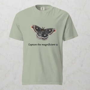 Capture the Magnificent Bay T
