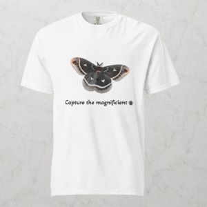Capture the Magnificent White T